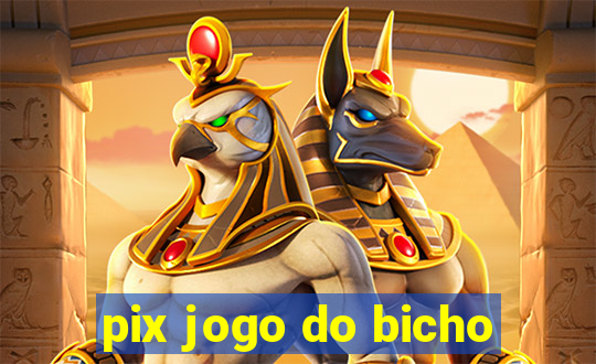 pix jogo do bicho